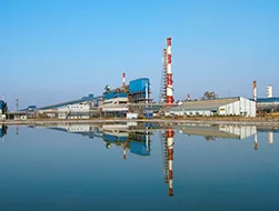 Hindustan Zinc, Dariba